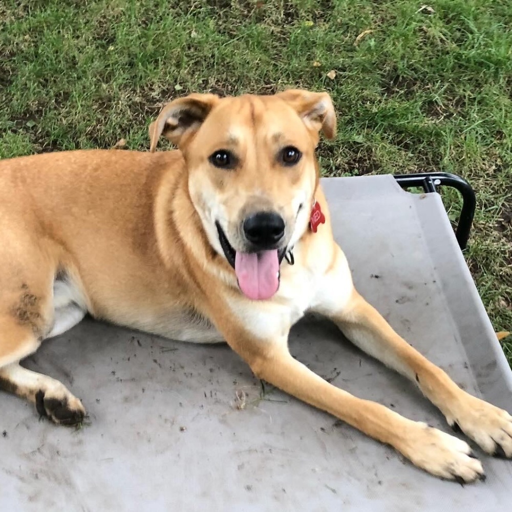 🐝 Meet your Posher!!! 🐝